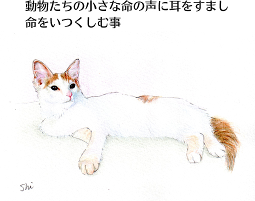 動物たちの小さな命の声に耳をすまし命をいつくしむこと
