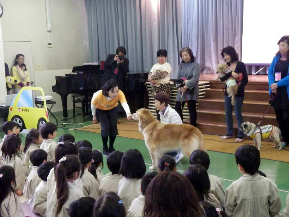 y8